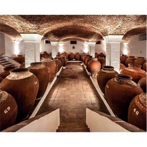 Visita Guiada às Adegas Moderna e Antiga + Prova de 3 Vinhos para Dois | Reguen