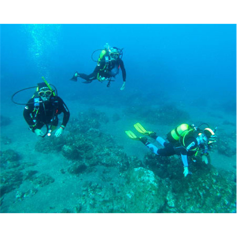 Mergulho no Ilhéu de Vila Franca | Azores Sub Dive Center - São Miguel Snorkel