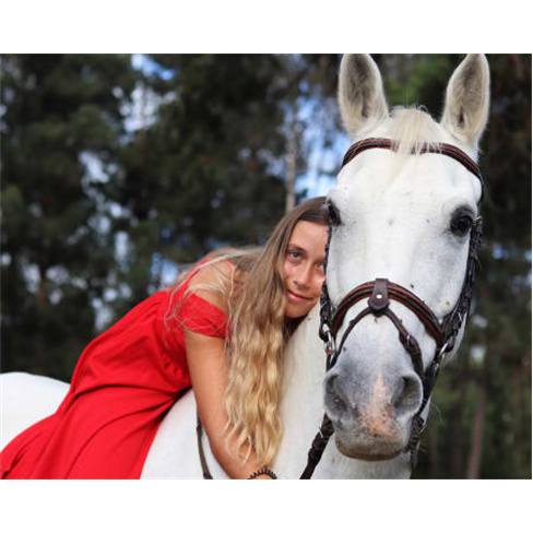 Sessão Fotográfica com Anim... Animal de Estimação + Bolo de Aniversário |