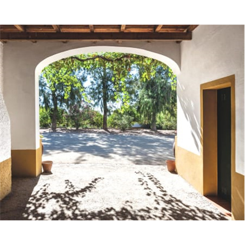 Visita e Prova de Vinhos Al...ueira Visita + Prova de Vinhos Amphoras | 1 Pessoa