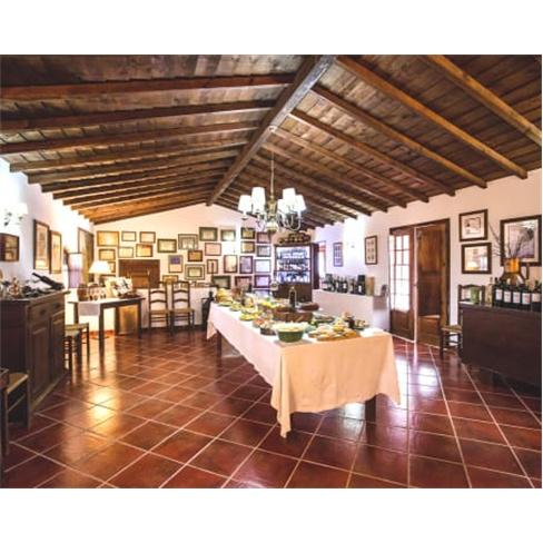 Visita e Prova de Vinhos Alentejanos | Herdade Grande - Vidigueira Visita + Prov