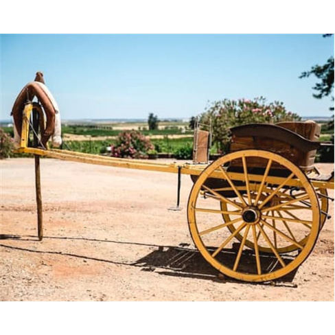 Visita e Prova de Vinhos Al...ueira Visita + Prova de Vinhos Amphoras | 1 Pessoa