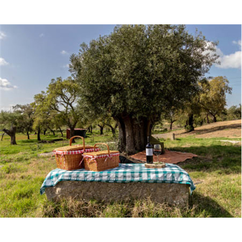 Monte do Giestal - Santiago...Spa a Dois no Alentejo Litoral 2 Noites + 1 Jantar