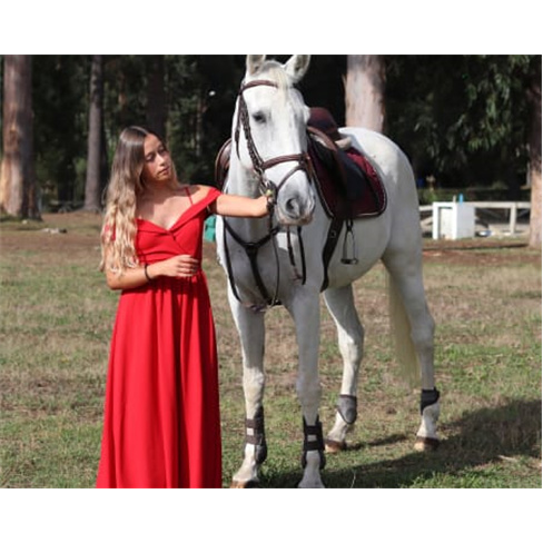 Sessão Fotográfica com Anim... Animal de Estimação + Bolo de Aniversário |