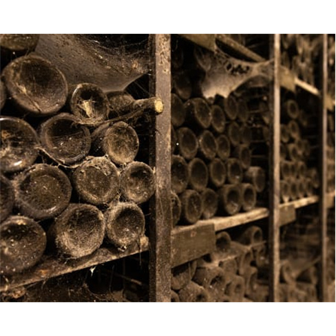 Visita Guiada e Prova de Vinhos Premium e Petiscos de Autor a Dois | Casa de San
