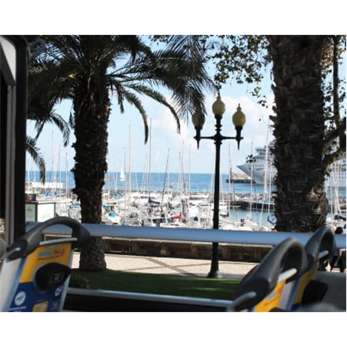 Tour Funchal + Câmara de Lo...o | Yellow Bus Bilhete de Adulto | Válido 24 Hor