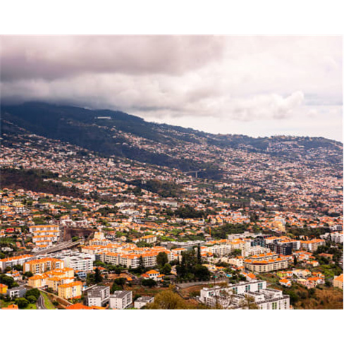 Tour Funchal + Câmara de Lo... | Yellow Bus Bilhete de Criança | Válido 48 Ho