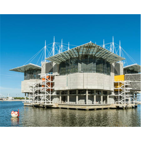 Belém Lisbon & Modern Bus Tour! Passeio em Autocarro Panorâmico + Visita ao Oc