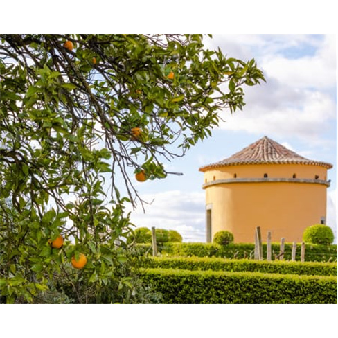 Visita Guiada e Prova de Vi...lmoço Beirão no Sobreiro by Chef Henrique Ferrei