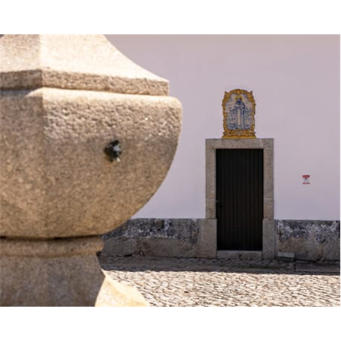 Visita Guiada e Prova de Vinhos Premium e Petiscos de Autor a Dois | Casa de San