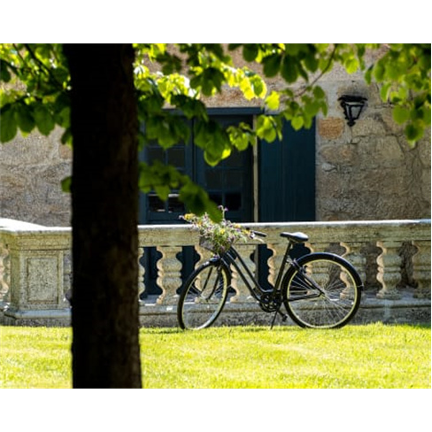 Visita Guiada e Prova de Vi... | Nelas Prova Wine x Prestige | 3 Terroirs Lovers