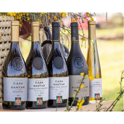 Visita Guiada e Prova de Vinhos Casa de Santar a Dois | Nelas Prova Wine x Prest