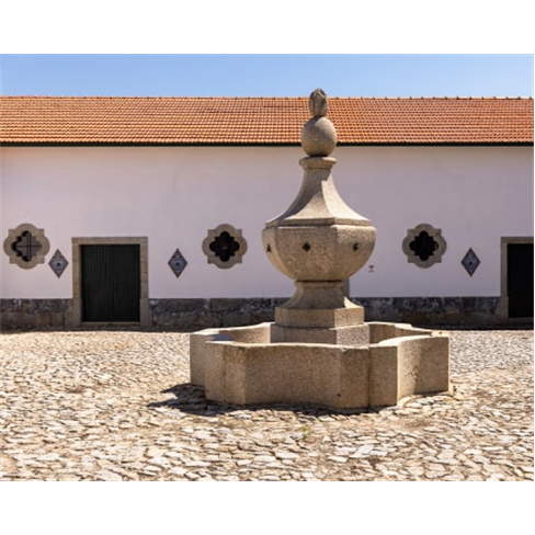 Visita Guiada e Prova de Vi... Santar - Nelas Prova Wine x Gold | Santar Premium