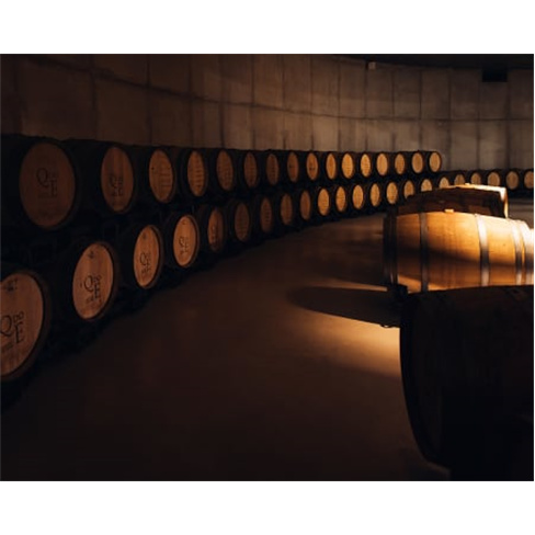 Visita Guiada e Prova de Vinhos Premium e Petiscos de Autor a Dois | Casa de San