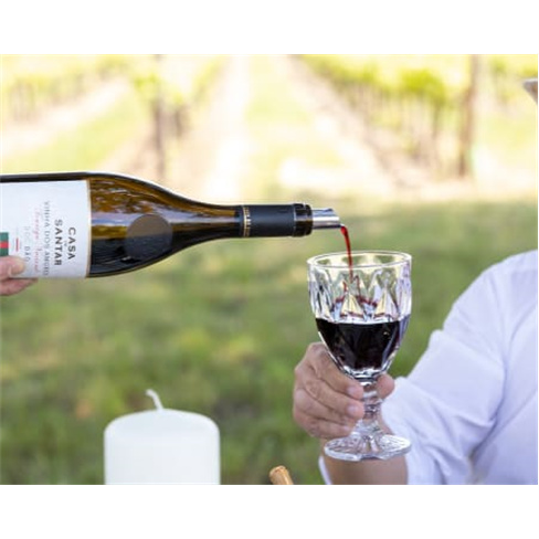 Visita Guiada e Prova de Vinhos Premium e Petiscos de Autor a Dois | Casa de San