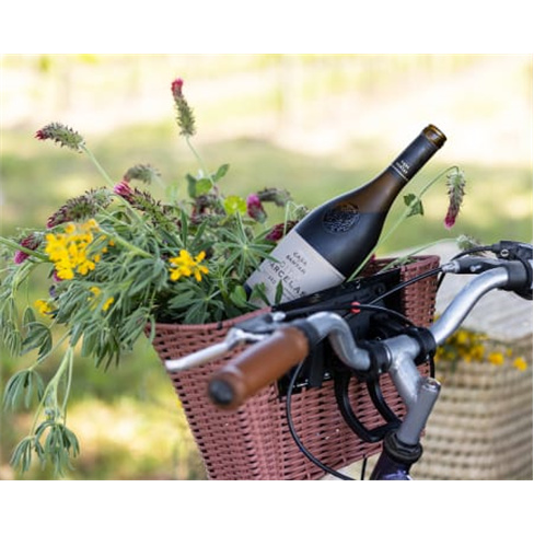 Visita Guiada e Prova de Vinhos Premium e Petiscos de Autor a Dois | Casa de San