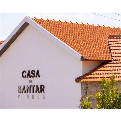Visita Guiada e Prova de Vinhos Premium e Petiscos de Autor a Dois | Casa de San
