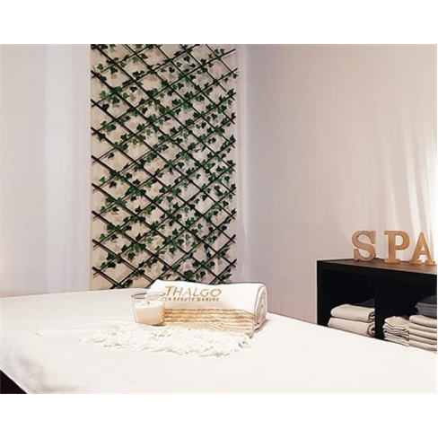 Massagem em Aveiro | ComAlm...a e Bem-Estar Massagem de Relaxamento | 50 Minutos