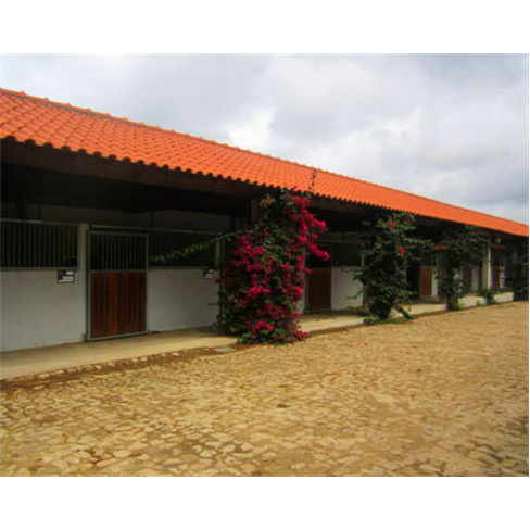Passeio a Cavalo para Criança | Coudelaria Quinta da Oliveira - Póvoa de Varzi