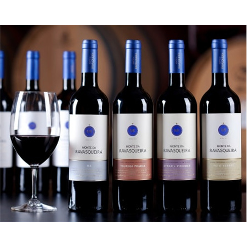 Visita e Prova de Vinhos no...ada e Prova 2 Vinhos da Vinha das Romãs | 1 Pesso