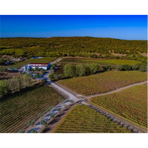 Visita e Prova de Vinhos no...olos Visita Guiada e Prova de 4 Vinhos | 2 Pessoas