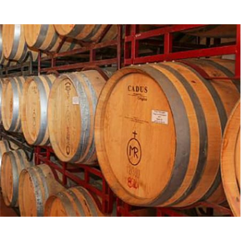 Visita e Prova de Vinhos no...ada e Prova 2 Vinhos da Vinha das Romãs | 1 Pesso