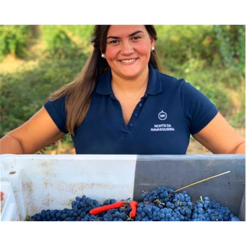 Visita e Prova de Vinhos no...olos Visita Guiada e Prova de 4 Vinhos | 2 Pessoas