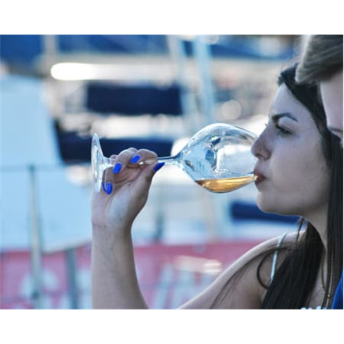 Passeio de Barco no Tejo com Prova de Vinhos para Dois | Wine Sailors - Lisboa