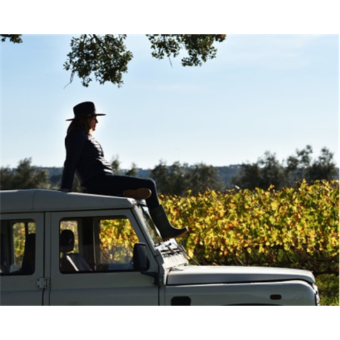 Visita Guiada e Prova de Vinhos Premium e Petiscos de Autor a Dois | Casa de San