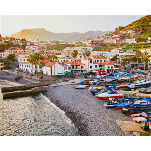 Tour Funchal + Câmara de Lo...o | Yellow Bus Bilhete de Adulto | Válido 48 Hor