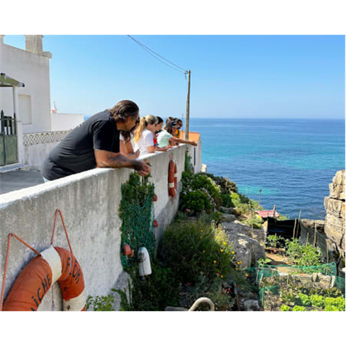Tour de Jipe em Peniche com Degustação de Doces Regionais | 4 Horas | Peniche