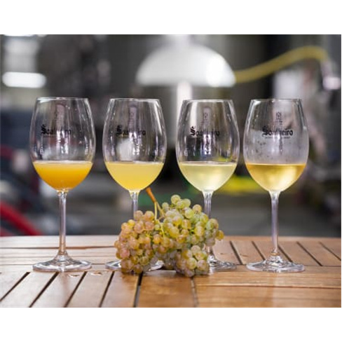 Visita à Quinta de Soalheir...a de Vinhos | Melgaço Prova de Infusões | 1 Pes