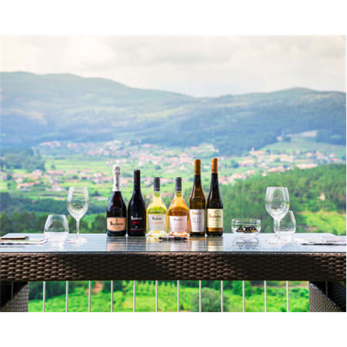 Visita à Quinta de Soalheir...a de Vinhos | Melgaço Prova de Infusões | 1 Pes