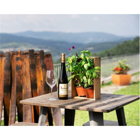 Visita à Quinta de Soalheiro com Prova de Vinhos | Melgaço Prova Clássica | 1