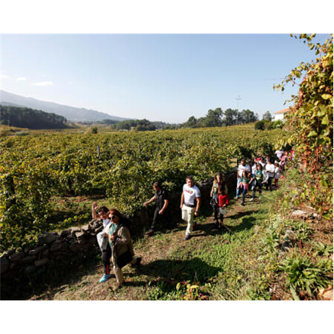 Visita à Quinta de Soalheir...a de Vinhos | Melgaço Prova Territórios | 1 Pes