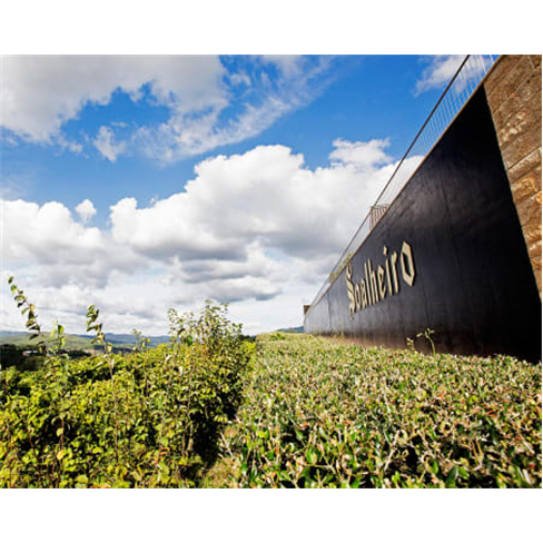 Visita à Quinta de Soalheir...rova de Vinhos | Melgaço Prova Inovação | 1 Pe