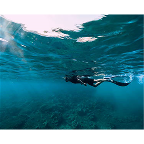 Mergulho no Mar com Passeio...| Anthia Diving Center Época Alta | Maio a Outubr