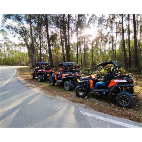 Passeio de Buggy para Dois | 1 Hora | SicóTOURS - Pombal
