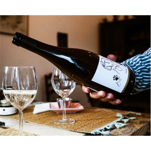 Visita Sabrosa: Prova de Vinhos & Azeite na Quinta da Fonte (56 caracteres)