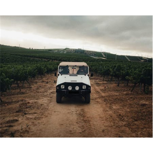 Visita à Fábrica de Bacalhau + Passeio em Jeep + Prova de Vinhos