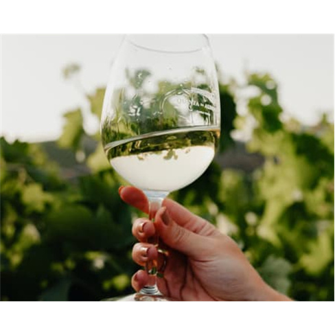 Visita à Fábrica de Bacalhau + Passeio em Jeep + Prova de Vinhos