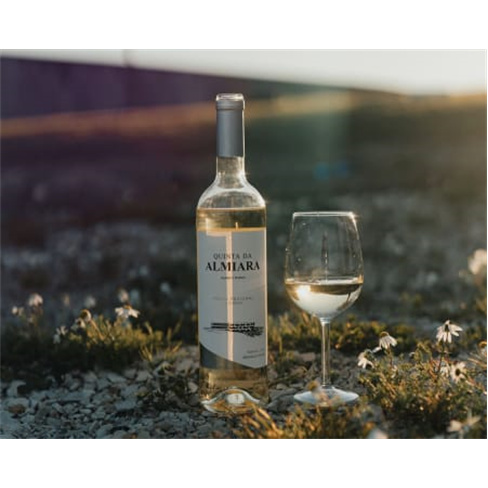 Visita à Fábrica de Bacalhau + Passeio em Jeep + Prova de Vinhos