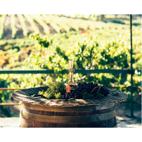 Visita Sabrosa: Prova de Vinhos & Azeite na Quinta da Fonte (56 caracteres)