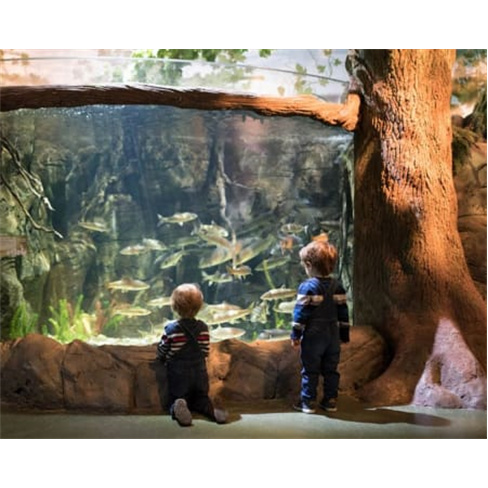 Bilhetes para o SEA LIFE Porto | Aquário com 3 Mil Criaturas Marinhas! 2 Adulto