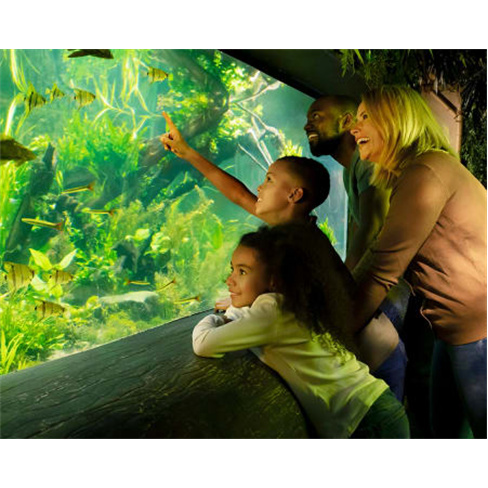 Bilhetes para o SEA LIFE Porto | Aquário com 3 Mil Criaturas Marinhas! 2 Adulto