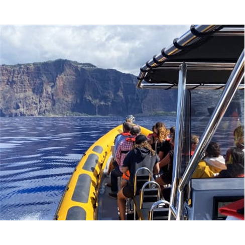 Descobre as Ilhas Desertas na Madeira com Almoço incluído!