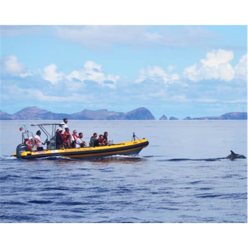Descobre as Ilhas Desertas na Madeira com Almoço incluído!
