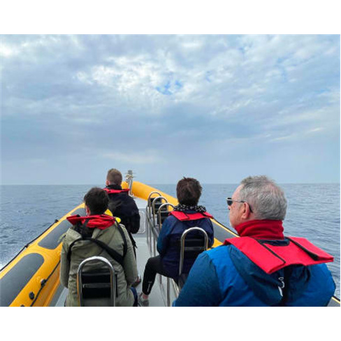 Passeio de Barco com Golfinhos na Madeira | Bilhete Criança