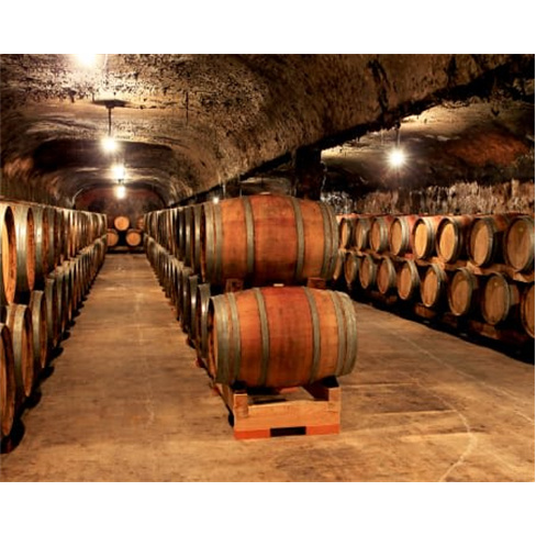Visita à Propriedade + Prova de 3 Vinhos para Dois | Caves Primavera - Águeda