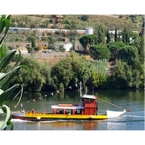 Descoberta do Douro: Tour Auto-Guiado c/ Prova de Vinhos e Barco da Régua ao Tu